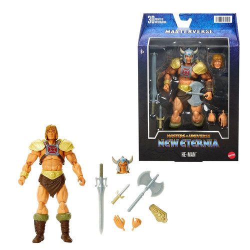 Masters the universe - the,