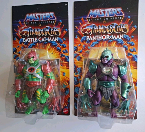 Man masters the universe - he-man,