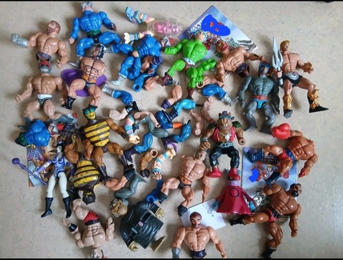 Masters the universe - the,